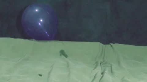 Snapshot of nightqueen69 chatting on November 17, 2025, 6:46 pm Watch us Fuck online show from November 17, 2025, 6:46 pm