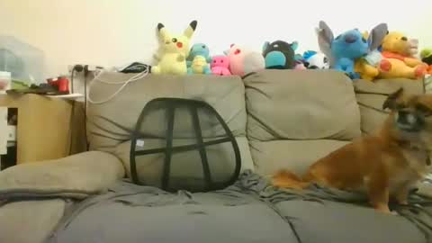 Brian and Logan Brogan online show from January 18, 2025, 8:52 am