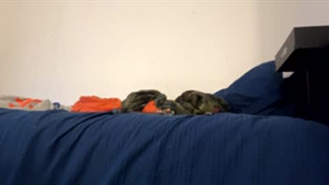 nikogigiii online show from January 17, 2026, 4:28 am