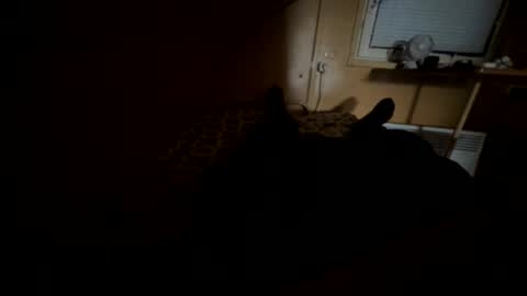 Snapshot of nikolay3032 chatting on September 20, 2025, 8:37 am Nikk online show from September 20, 2025, 8:37 am