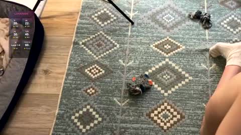 Jennet online show from December 2, 2024, 7:49 pm