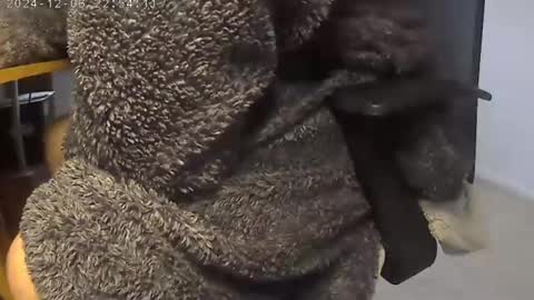 nineinchhard online show from December 5, 2024, 9:28 am