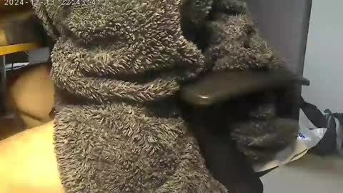 nineinchhard online show from December 12, 2024, 9:19 am