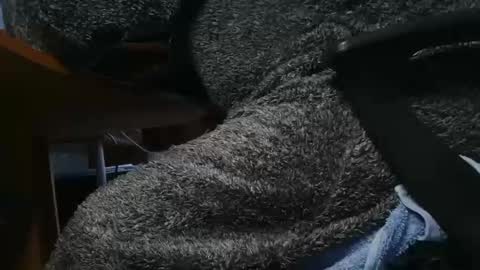 nineinchhard online show from January 23, 2025, 10:22 am