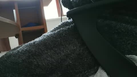 nineinchhard online show from October 30, 2025, 10:49 am