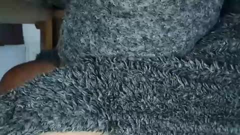 nineinchhard online show from May 19, 2026, 9:37 am
