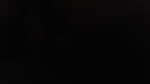 Ninjadance online show from December 2, 2024, 11:01 am