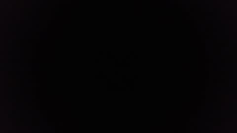 Ninjadance online show from December 29, 2024, 11:29 am