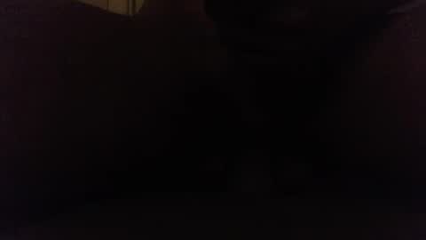 Ninjadance online show from October 8, 2025, 8:12 am