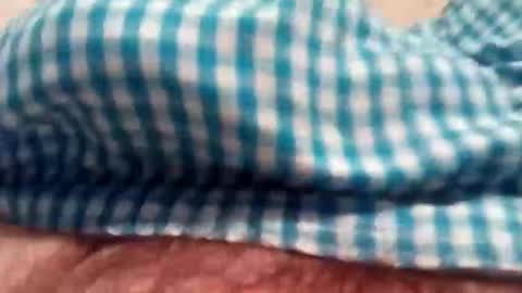 nipbulge online show from December 5, 2025, 6:00 am