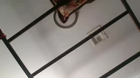 nipplechaser online show from January 18, 2025, 5:37 pm