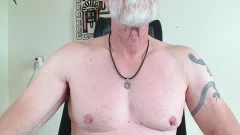 Snapshot of nipplesilverdad55 chatting on September 13, 2025, 9:53 am nipplesilverdad55 online show from September 13, 2025, 9:53 am