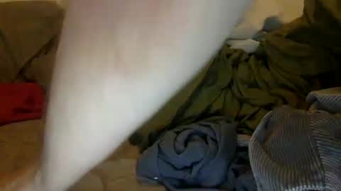 Noah Warren online show from September 28, 2025, 1:16 pm