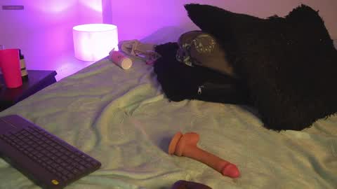 noah_0814 online show from April 11, 2026, 7:45 am