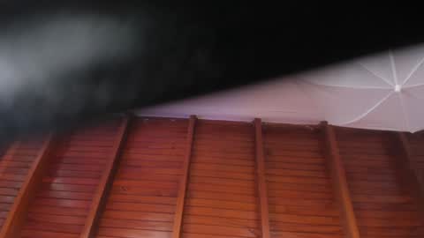 Sara  online show from January 18, 2025, 4:31 pm