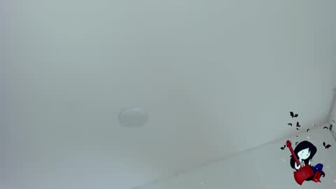 Snapshot of noahcryptic chatting on October 29, 2025, 6:48 am Noah  online show from October 29, 2025, 6:48 am