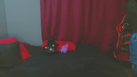 Noamartin online show from February 27, 2025, 1:59 am