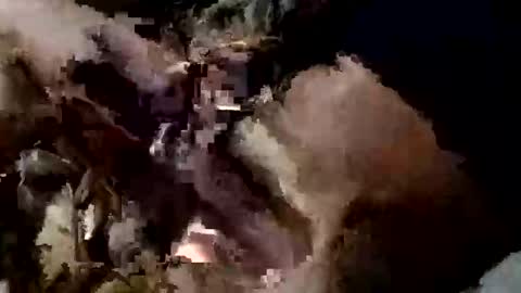 Snapshot of nocturnus1980 chatting on September 10, 2025, 5:40 am nocturnus1980 online show from September 10, 2025, 5:40 am