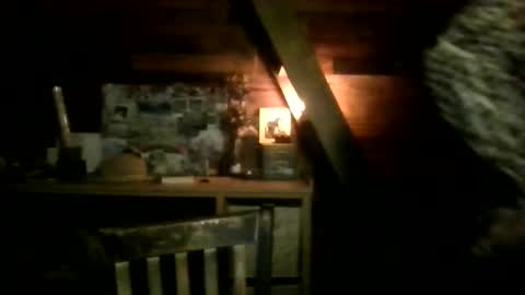 Nola online show from March 13, 2026, 2:40 am