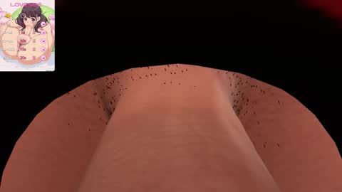 Sofi online show from December 15, 2025, 3:55 am