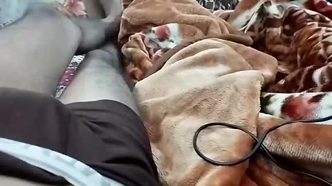 sim  nib online show from December 3, 2024, 7:11 pm