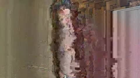 NoodsOverNudes online show from May 26, 2026, 2:46 pm