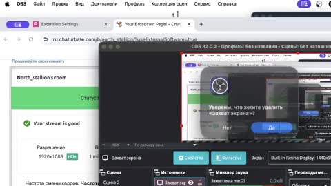North stallions online show from November 24, 2025, 10:48 am