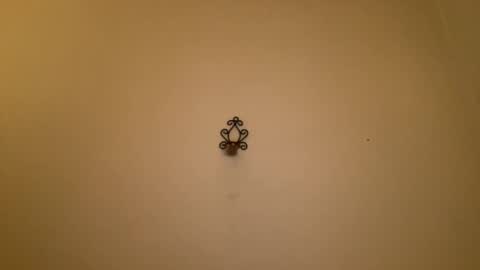 Snapshot of noscandal chatting on February 21, 2025, 12:16 am noscandal online show from February 21, 2025, 12:16 am