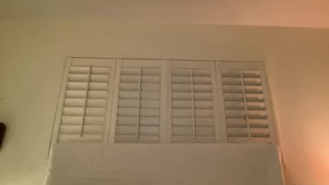 Snapshot of noscandal chatting on November 14, 2025, 5:06 am noscandal online show from November 14, 2025, 5:06 am