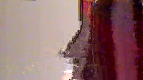 novahexx online show from April 13, 2026, 1:22 am