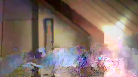 nurod online show from December 29, 2024, 4:40 pm