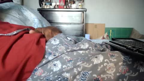 KN online show from December 23, 2024, 7:52 pm