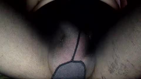 nylon2412 online show from December 28, 2024, 8:04 pm