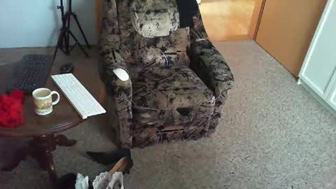 Strumpfhose online show from November 3, 2025, 8:48 am