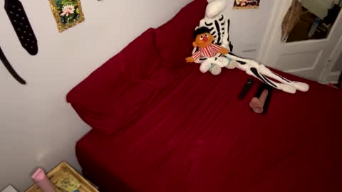 Nymphaea online show from March 24, 2026, 11:21 pm