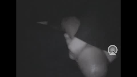 Snapshot of nympham chatting on April 4, 2026, 7:06 am nympham online show from April 4, 2026, 7:06 am