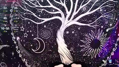 Snapshot of nyx_murtualer chatting on December 16, 2025, 3:00 am nyx murtualer online show from December 16, 2025, 3:00 am