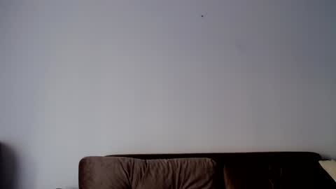 o_r_b_i_t online show from December 19, 2024, 1:29 pm