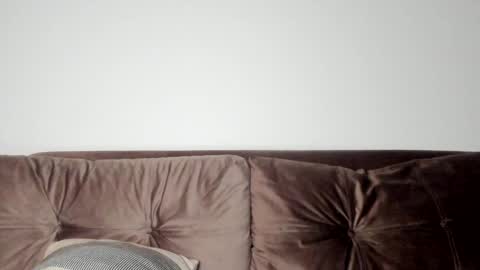 o_r_b_i_t online show from January 31, 2025, 4:06 pm