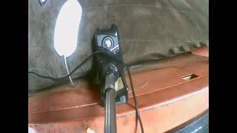 oaksdillen575355 online show from January 8, 2026, 12:40 pm