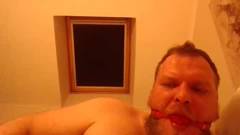 obesepervpiggy89 online show from January 15, 2026, 2:38 am