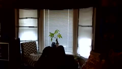 Snapshot of oflores77 chatting on February 24, 2026, 1:42 pm oscar flores online show from February 24, 2026, 1:42 pm