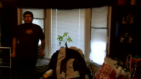 Snapshot of oflores77 chatting on March 1, 2026, 1:02 pm oscar flores online show from March 1, 2026, 1:02 pm