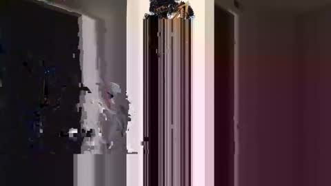 ogtripmushem online show from October 27, 2025, 1:48 pm