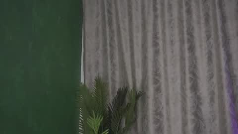 Julia online show from February 14, 2025, 8:21 am