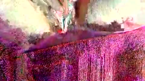 Snapshot of ohlalamama13 chatting on March 17, 2026, 9:51 pm ohlalamama13 online show from March 17, 2026, 9:51 pm