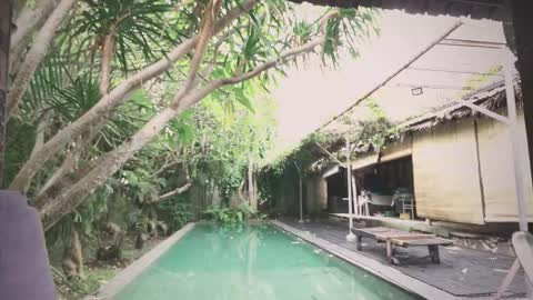 Mo online show from November 18, 2025, 1:55 am