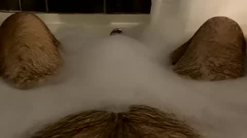 oldbones2 online show from February 16, 2025, 2:20 am