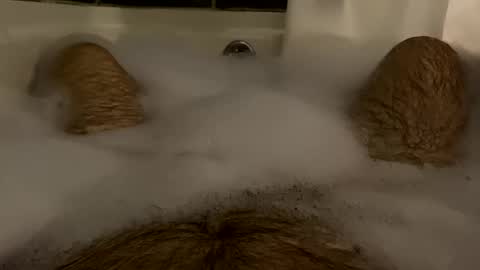 oldbones2 online show from February 17, 2025, 1:36 am