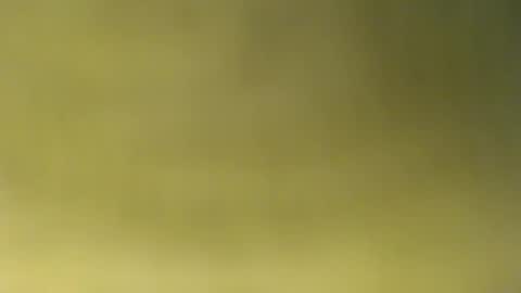 oliver_laid_2023 online show from November 30, 2025, 8:51 am